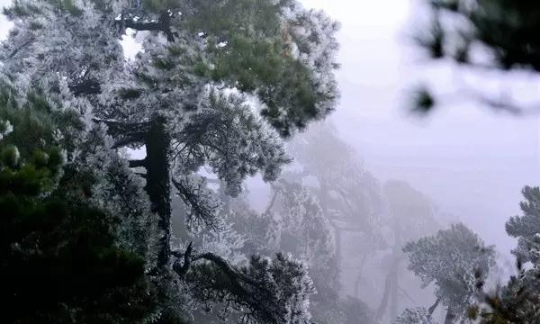 亚当寻找夏娃5